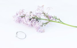 prsten ring