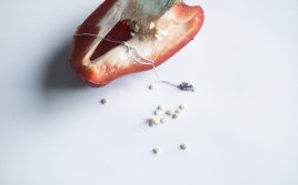 Náramek chilli paprička